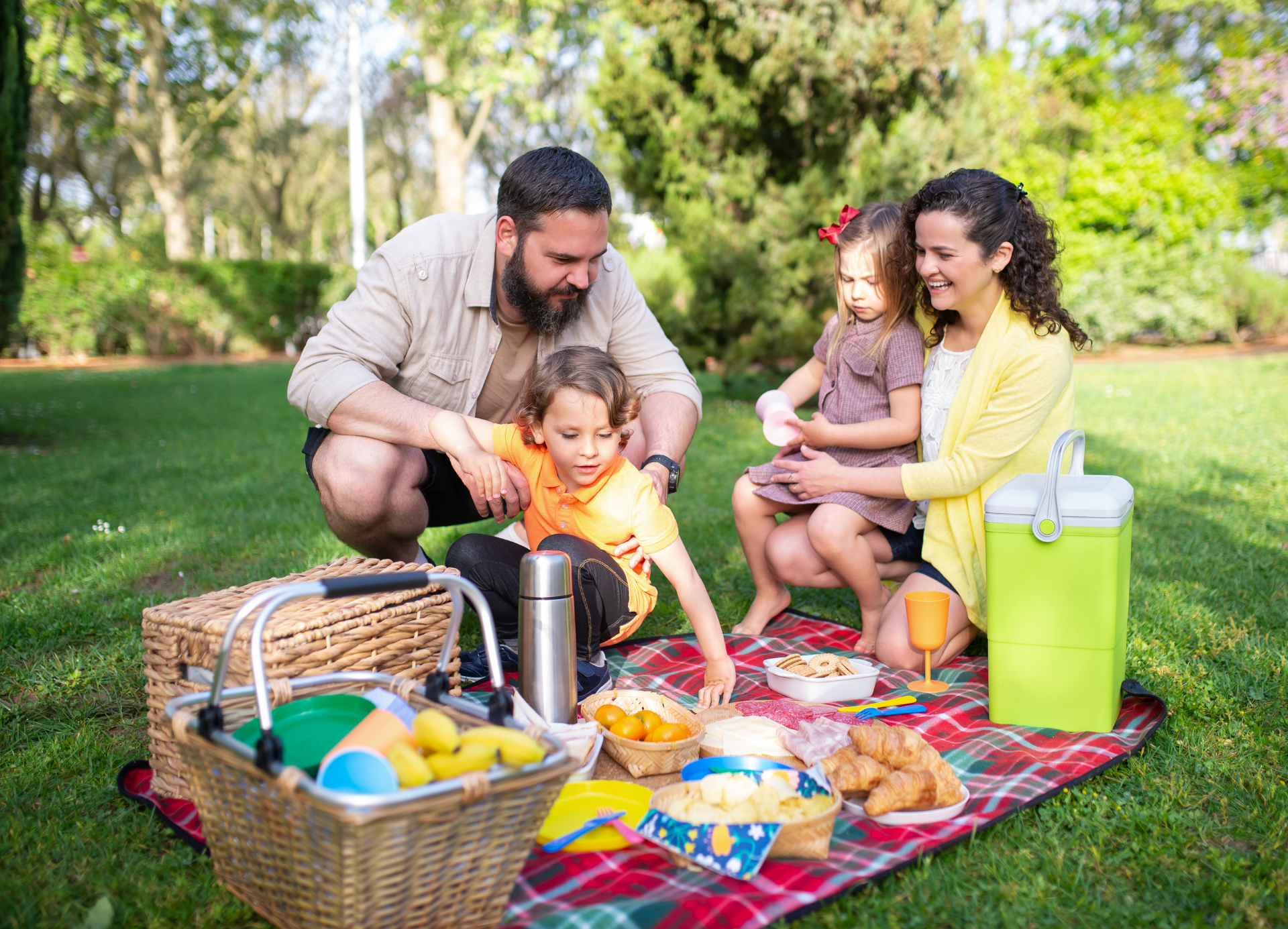 family picnic in park